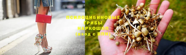 a pvp Краснотурьинск